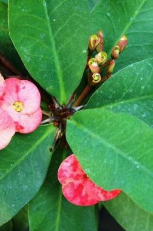 Cover of Euphorbia Millii Crown of Thorns Flowers Journal