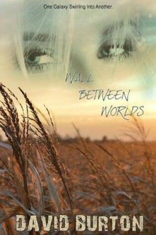 Cover of Wall Between Worlds