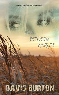 Book cover for Wall Between Worlds