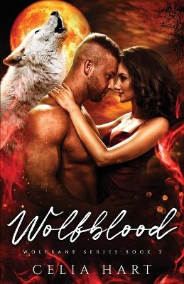 Cover of Wolfblood