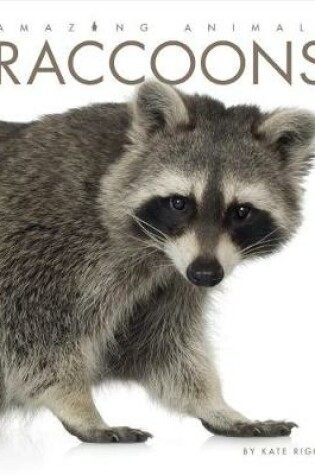 Cover of Raccoons