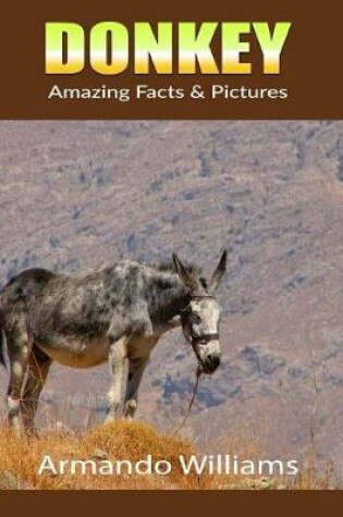 Cover of Donkey