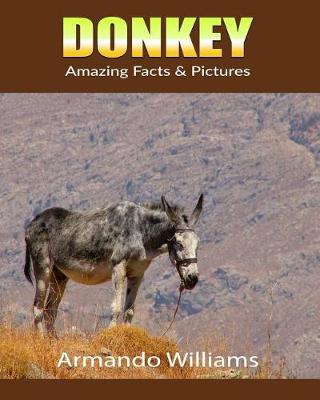 Book cover for Donkey