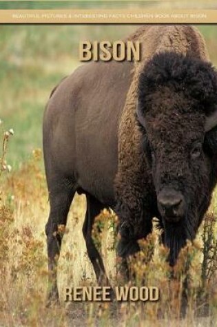 Cover of Bison