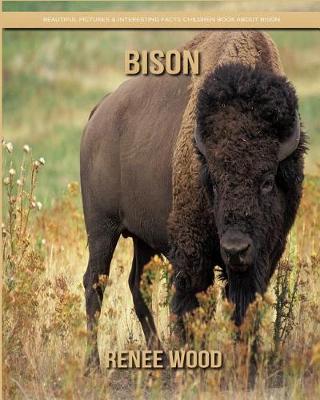 Book cover for Bison