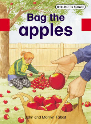 Book cover for Wellington Square Assessment Kit - Bag the Apples