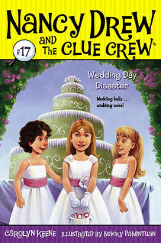 Cover of Wedding Day Disaster