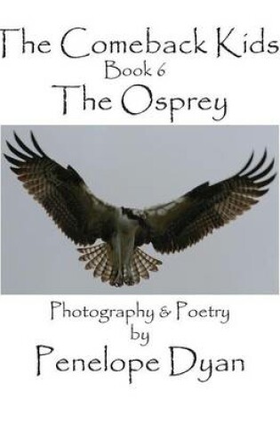 Cover of The Comeback Kids, Book 6, The Osprey