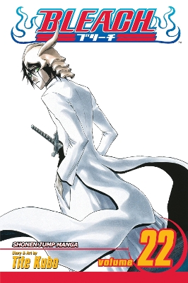 Cover of Bleach, Vol. 22