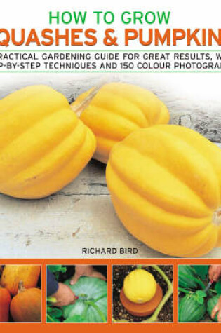 Cover of How to Grow Squashes and Pumpkins