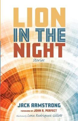 Book cover for Lion in the Night