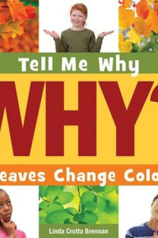 Cover of Leaves Change Colour