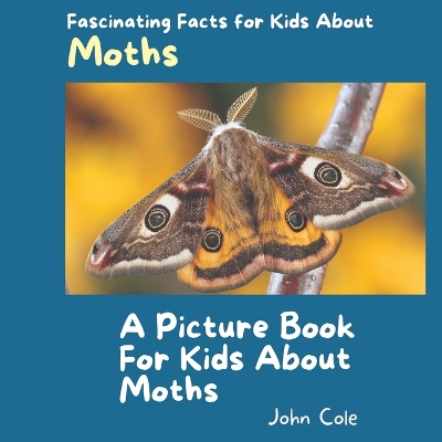Book cover for A Picture Book for Kids About Moths