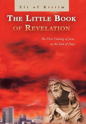 Cover of The Little Book of Revelation