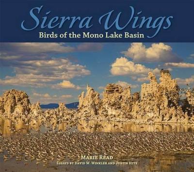 Cover of Sierra Wings