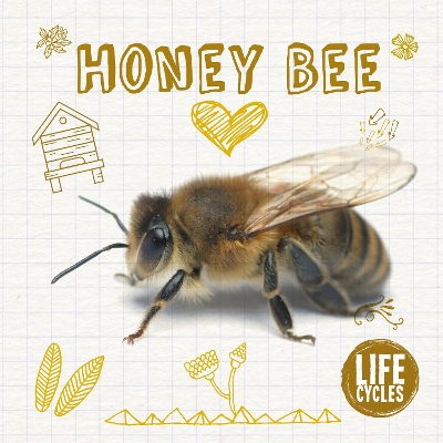 Book cover for Honey Bee