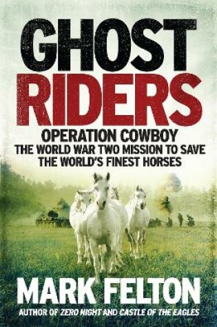 Cover of Ghost Riders