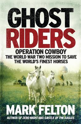 Book cover for Ghost Riders