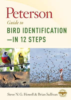 Book cover for Peterson Guide to Bird Identification--In 12 Steps