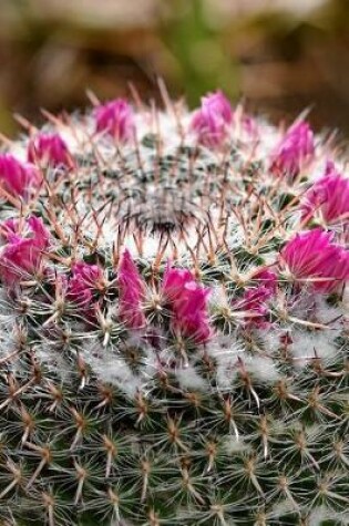 Cover of A Crown of Cactus Flowers Close-Up Succulent Journal