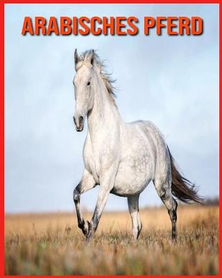 Book cover for Arabisches Pferd