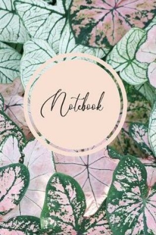 Cover of Notebook