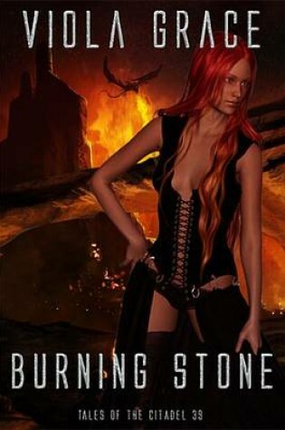 Cover of Burning Stone