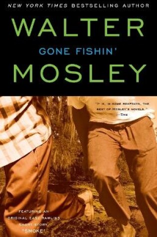 Cover of Gone Fishin'