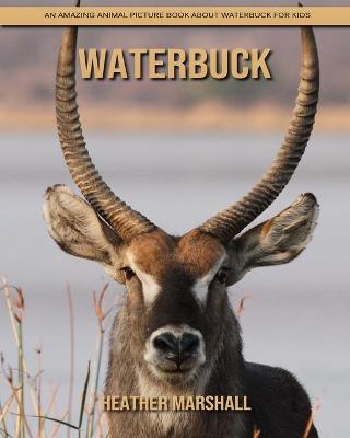 Book cover for Waterbuck