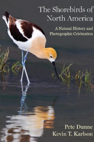 Cover of The Shorebirds of North America