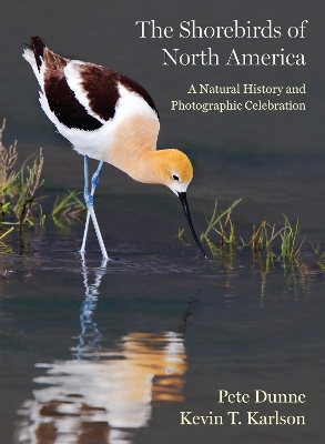 Book cover for The Shorebirds of North America