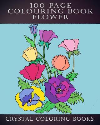 Cover of 100 Page Colouring Book