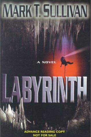 Cover of Labyrinth