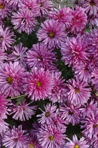 Cover of Chrysanthemum Cluster, for the Love of Flowers