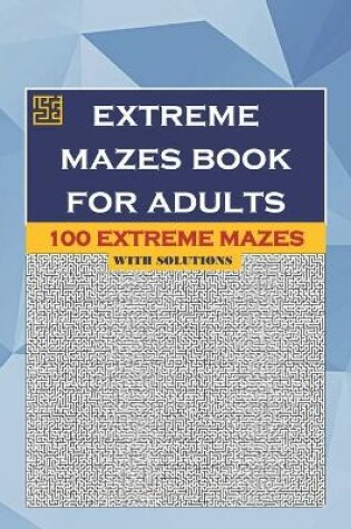Cover of Extreme Mazes Book for Adults