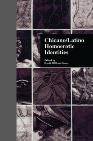 Cover of Chicano/Latino Homoerotic Identities