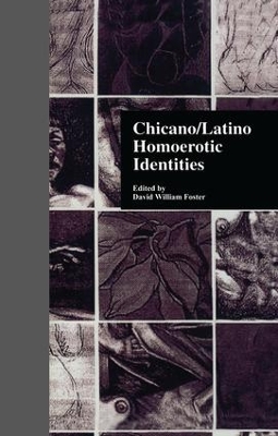 Book cover for Chicano/Latino Homoerotic Identities