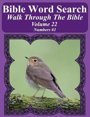 Book cover for Bible Word Search Walk Through The Bible Volume 22