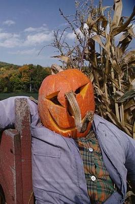Cover of 2019 Weekly Planner Farm Scarecrow Pumpkin Head 134 Pages