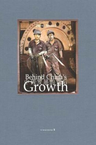 Cover of Behind China's Growth