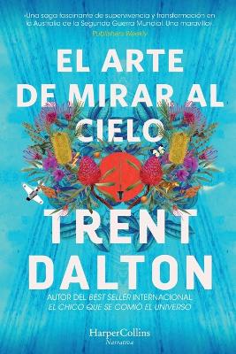 Book cover for El Arte de Mirar Al Cielo (All Our Shimmering Skies - Spanish Edition)