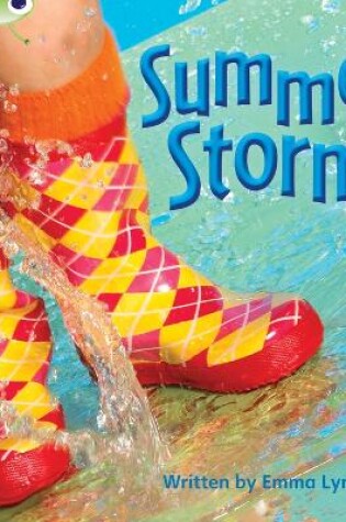 Cover of Bug Club Phonics - Phase 3 Unit 11: Summer Storm