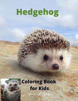 Book cover for Hedgehog Coloring Book for Kids