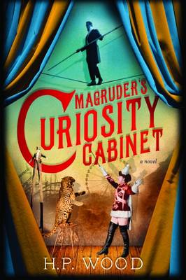 Book cover for Magruder's Curiosity Cabinet