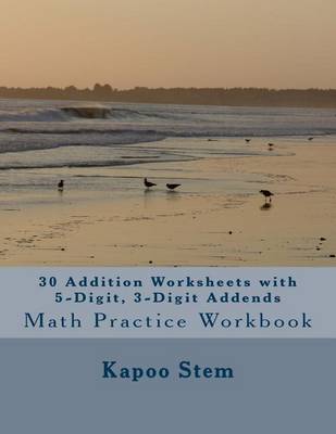 Book cover for 30 Addition Worksheets with 5-Digit, 3-Digit Addends
