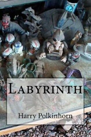 Cover of Labyrinth