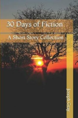 Cover of 30 Days of Fiction