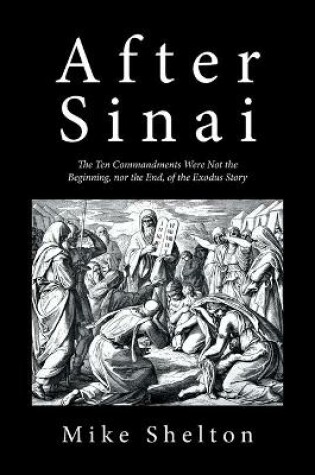Cover of After Sinai