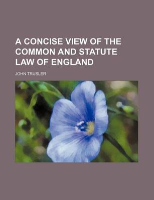 Book cover for A Concise View of the Common and Statute Law of England