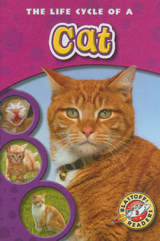 Cover of The Life Cycle of a Cat